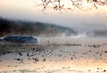 Sunrise Mist