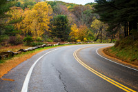 Road to Autumn