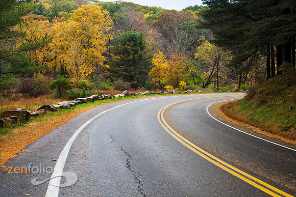 Road to Autumn
