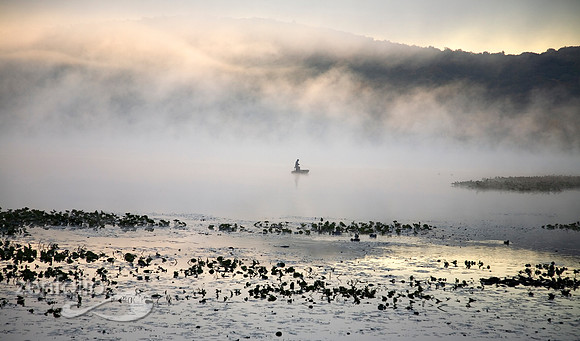 Fisherman of the Mist