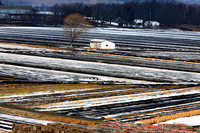 Onionfields