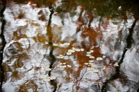 Random Raindrops