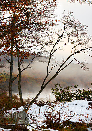 Rising Mist