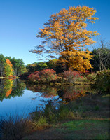 Season of Glory-Harriman State Park