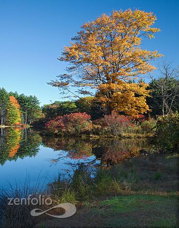 Season of Glory-Harriman State Park