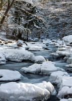 Midwinter Snow