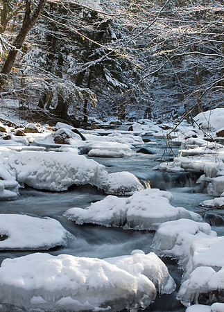 Midwinter Snow