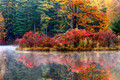 Autumn Promise