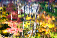 Shades of Change