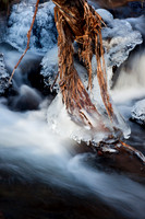 Icy Straits