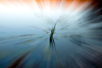 Warp Speed